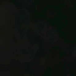 Mi-bas Femme Falke SK5 -Chaussures Boutique mi bas femme falke sk5 2